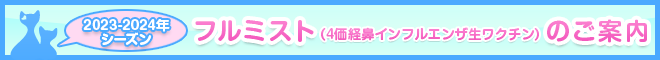 2023年～2024年シーズンフルミストのご案内